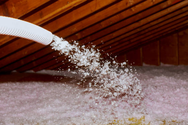 Best DIY Insulation Kits and Guidance in South Haven, IN
