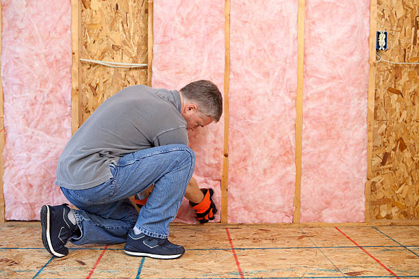 Best Insulation for Specific Applications in South Haven, IN