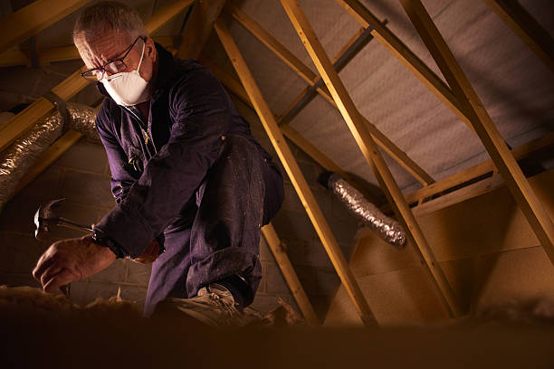 Trusted South Haven, IN Insulation Contractor Experts